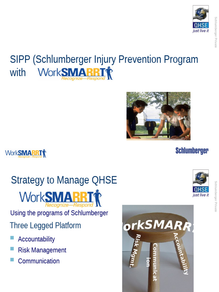 SIPP | PDF | Safety
