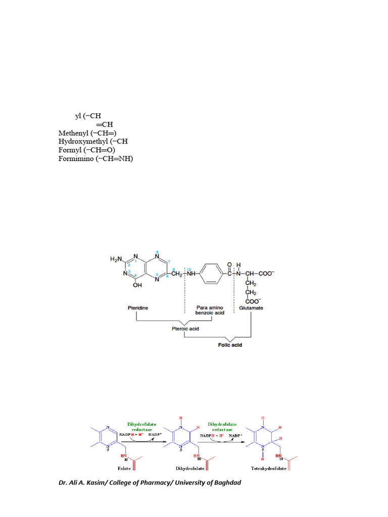 One-Carbon Metabolism Overview | PDF | Biosynthesis | Metabolism