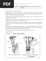 BSc 1st Year Botany Practical Guide | PDF | Plant Stem | Vector ...