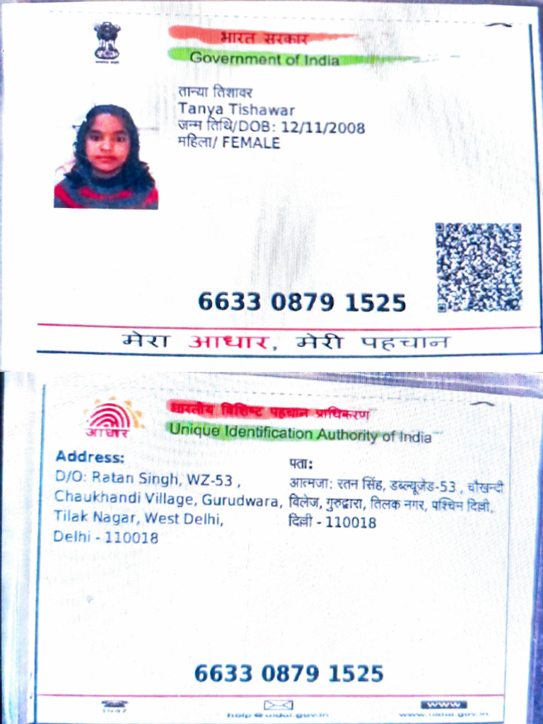 Government of India ID Details | PDF