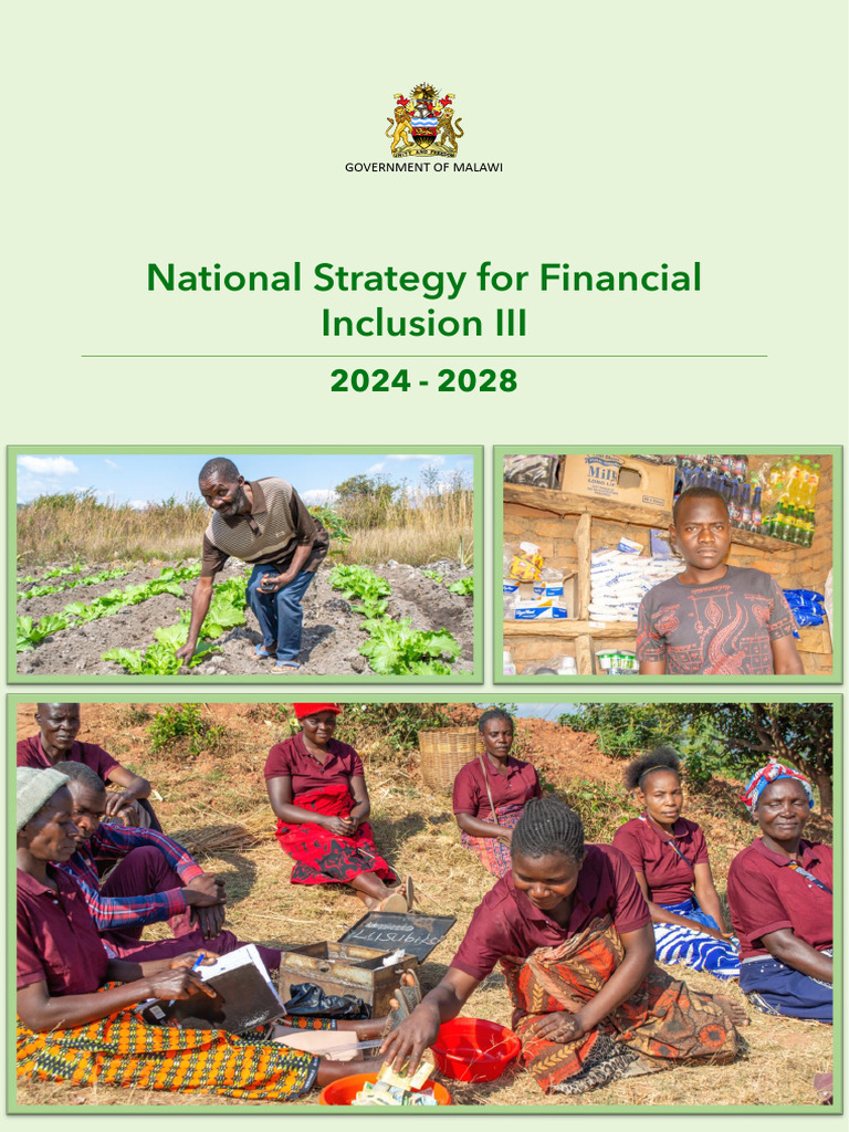 National Strategy For Financial Inclusion III | PDF | Financial ...