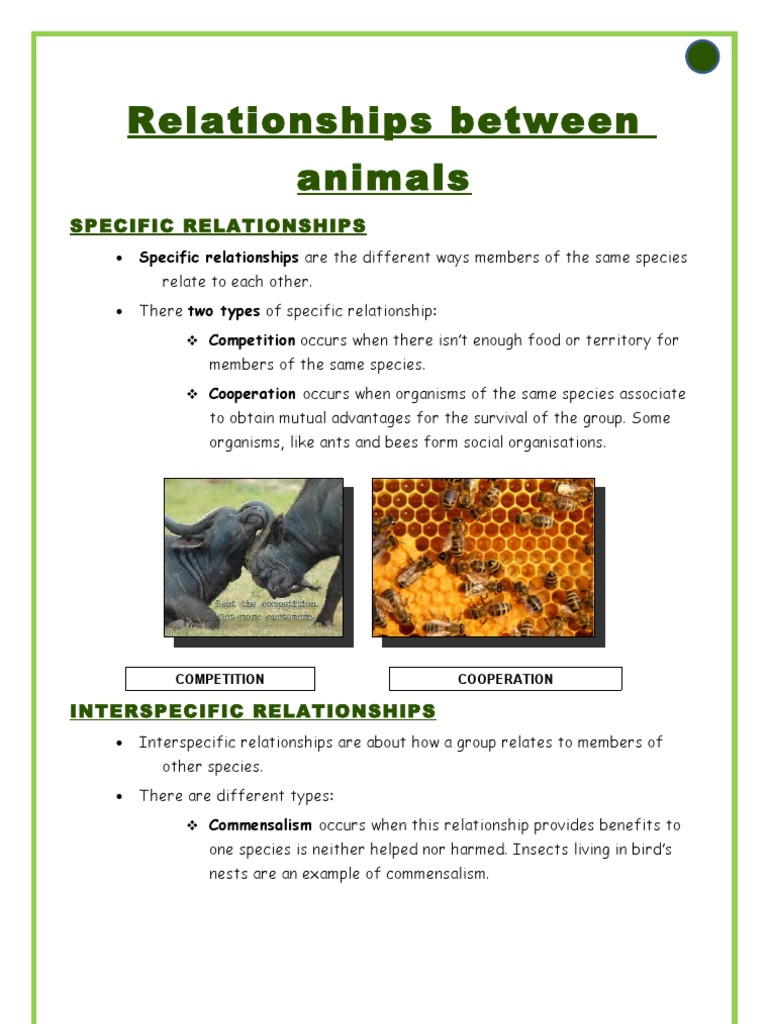 Animal Relationships: Competition & Cooperation | PDF | Politics | Self ...