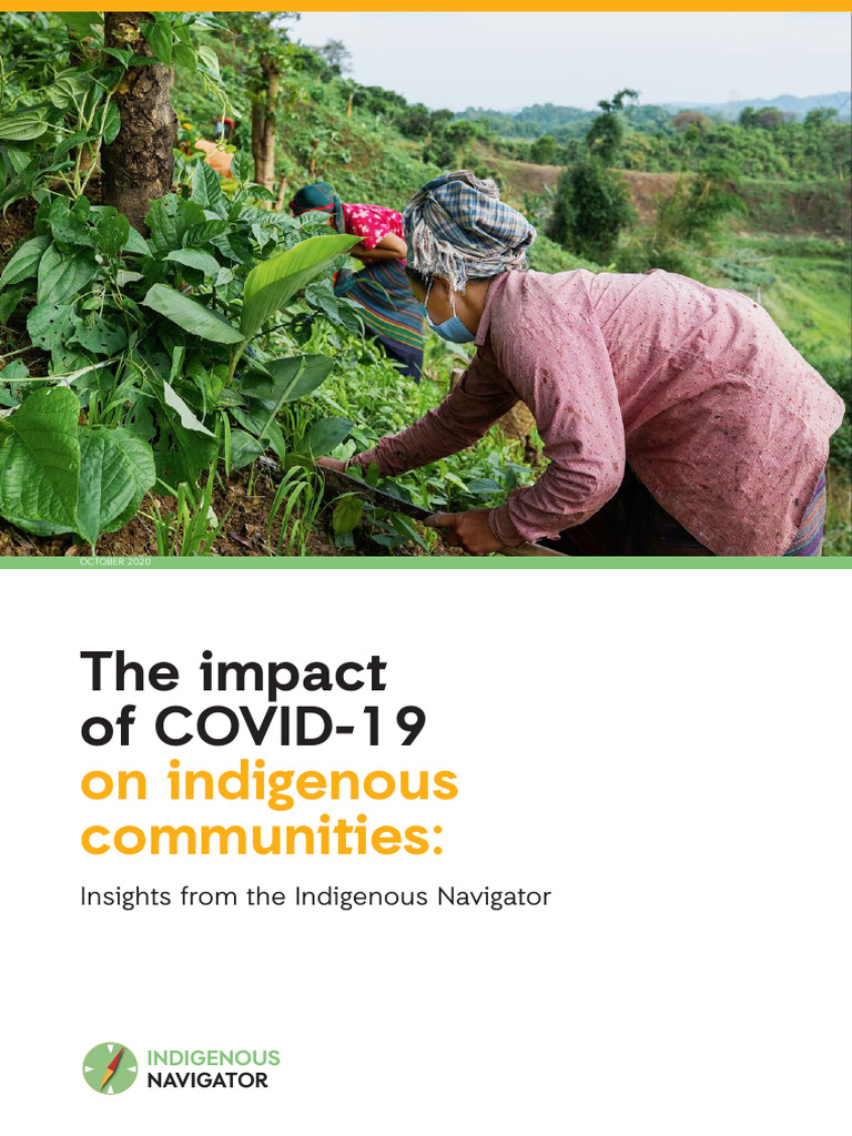 COVID-19's Effects on Indigenous Communities | PDF | Human Rights ...