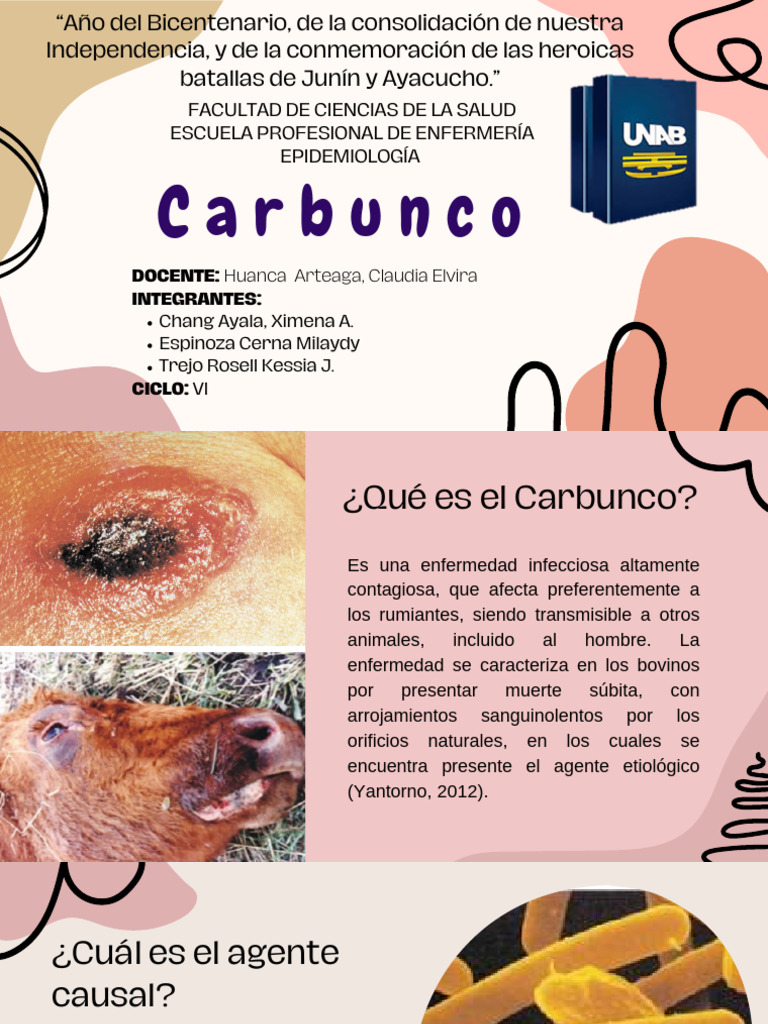 Carbunco: Epidemiología y Diagnóstico | PDF | Ántrax | Epidemiología