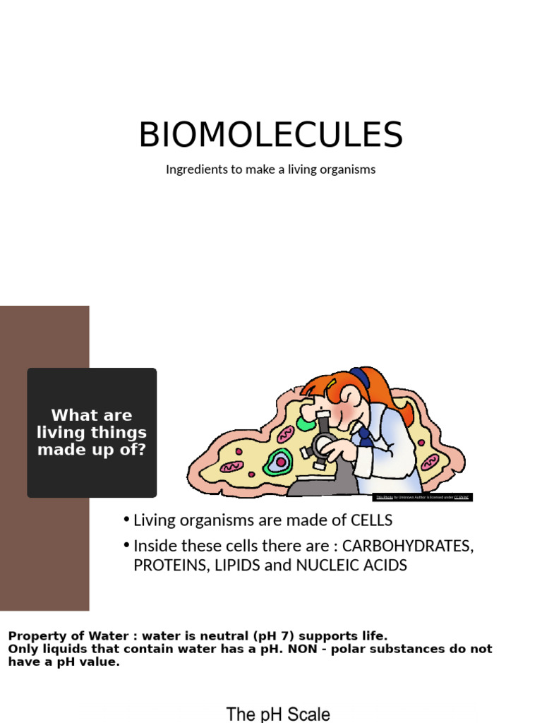 Understanding Biomolecules in Life | PDF | Biomolecules | Carbohydrates