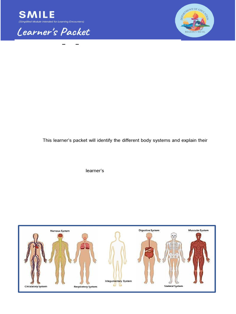 Understanding Human Body Systems | PDF | Human Body | Human ...