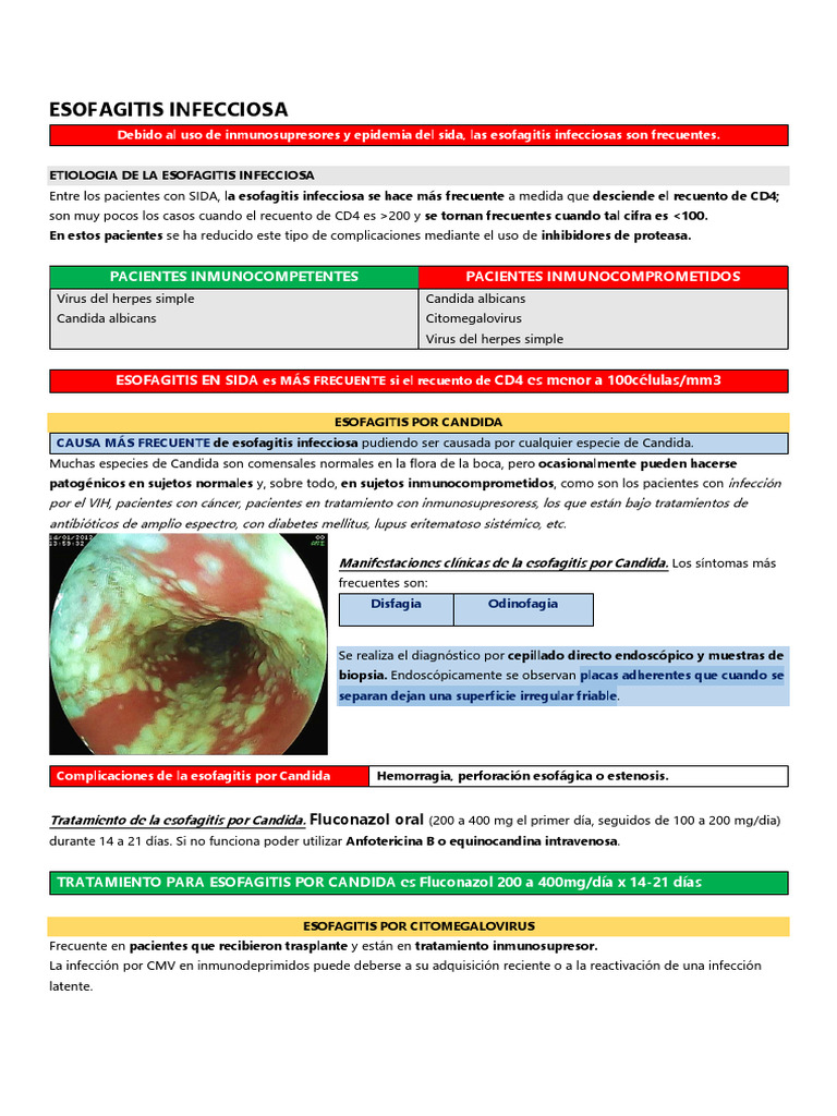 Causas y Tratamientos de Esofagitis Infecciosa | PDF | Alergia ...