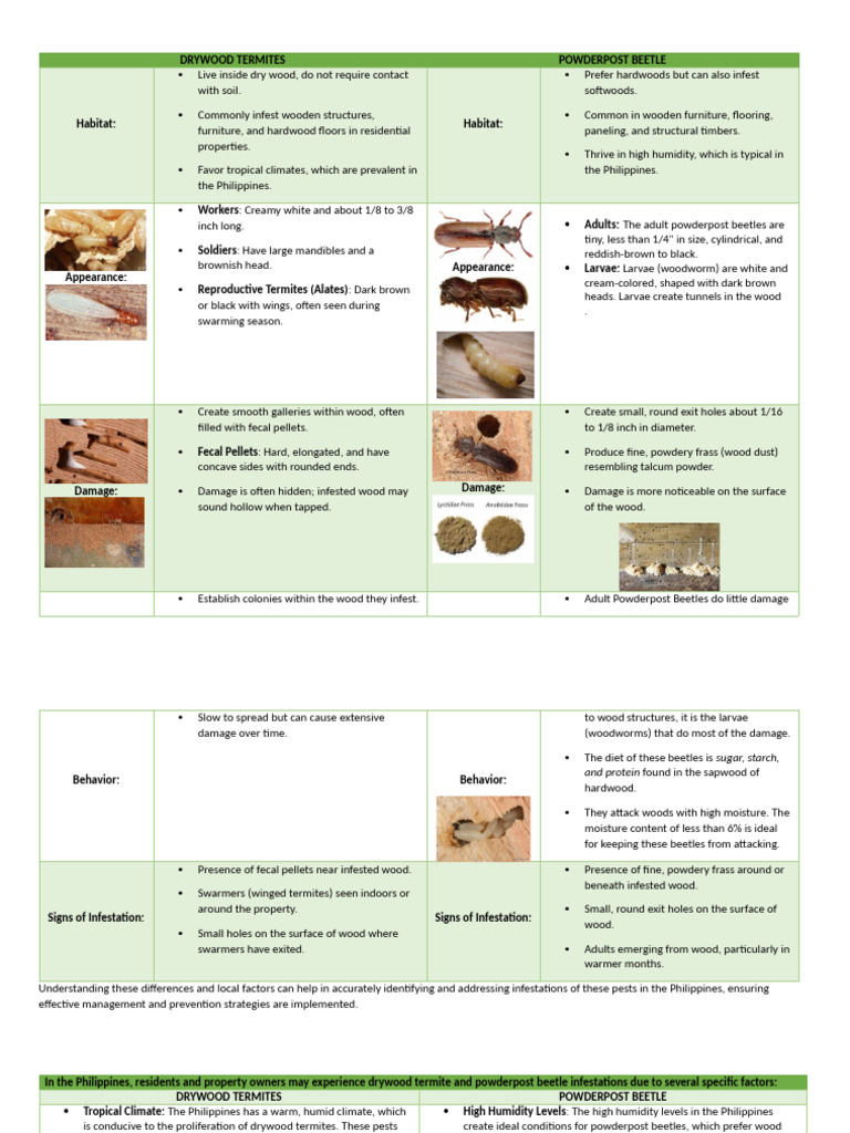 Drywood Termites & Powderpost Beetle | PDF | Pest Control | Wood
