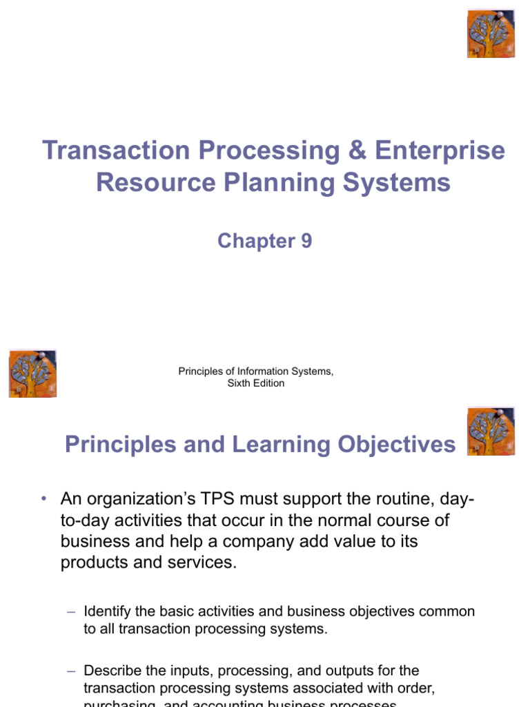 Transaction Processing & Enterprise Resource Planning Systems | PDF ...