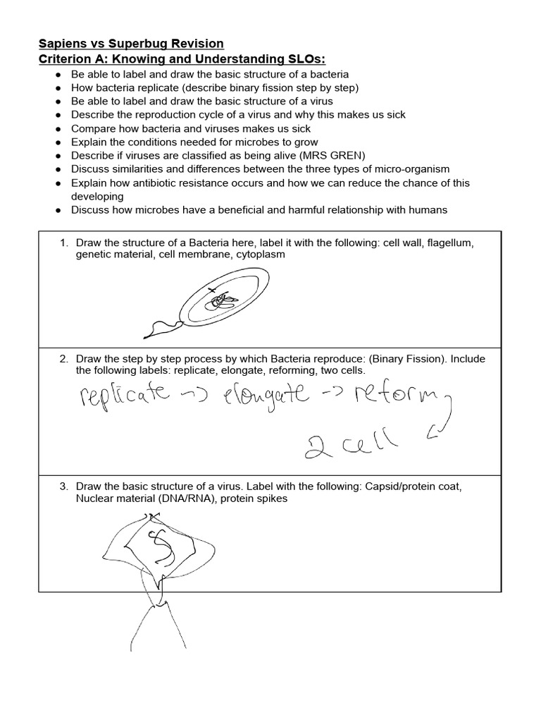 Bacteria and Virus Comparison Guide | PDF | Virus | Bacteria