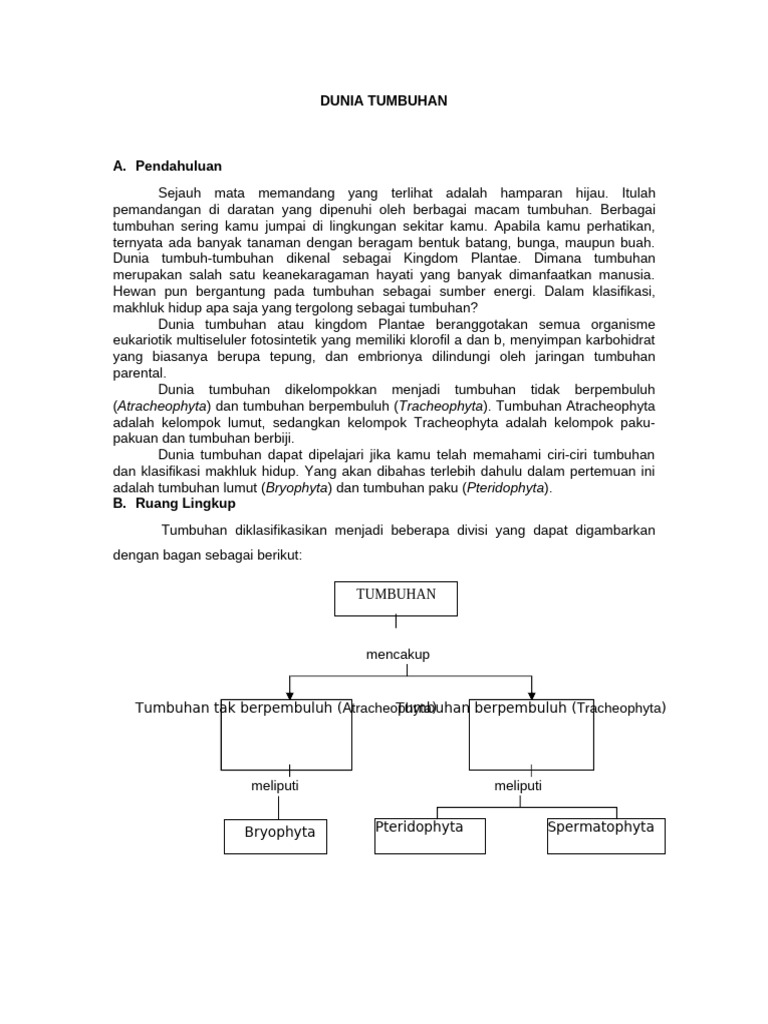 Klasifikasi Equisetum Debile dalam Plantae | PDF