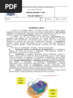 Ficha de Trabalho nº 3_Célula