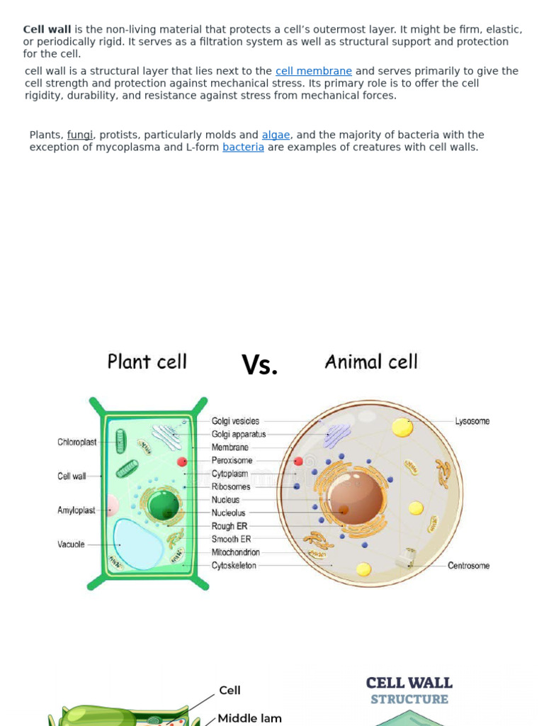 Cell (biology) visual data 6
