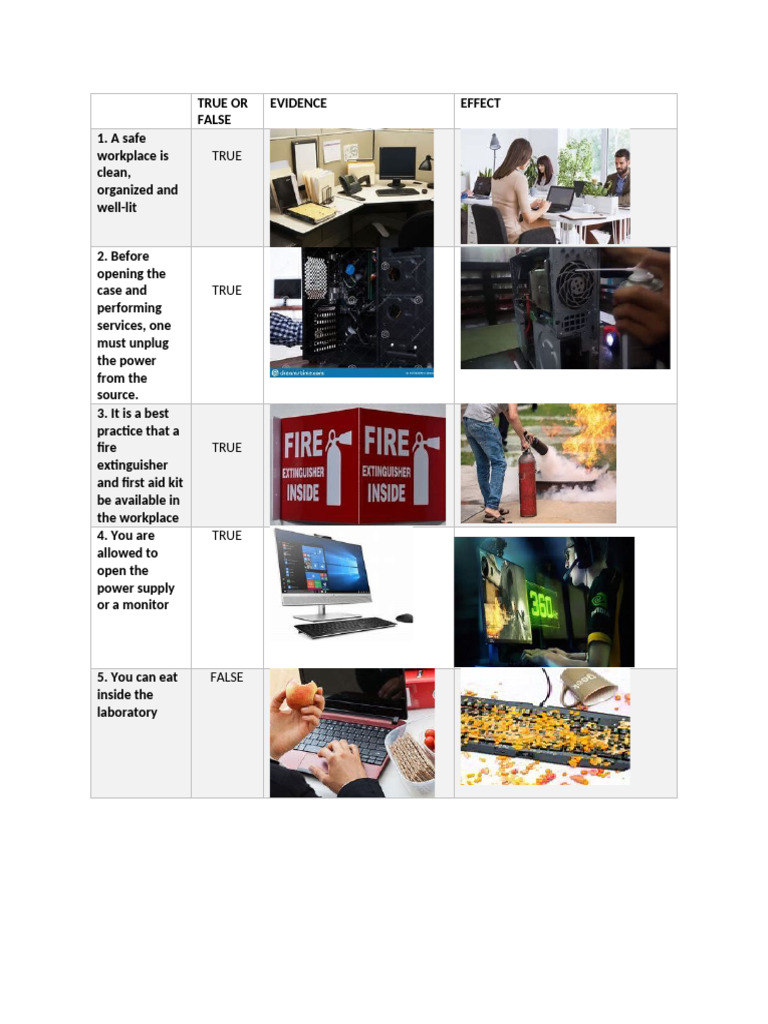 Activity True or False | PDF