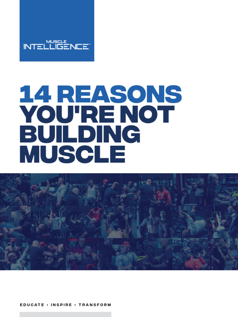 Muscle Intelligence 14 Reasons Youre Not Building Muscle | PDF ...