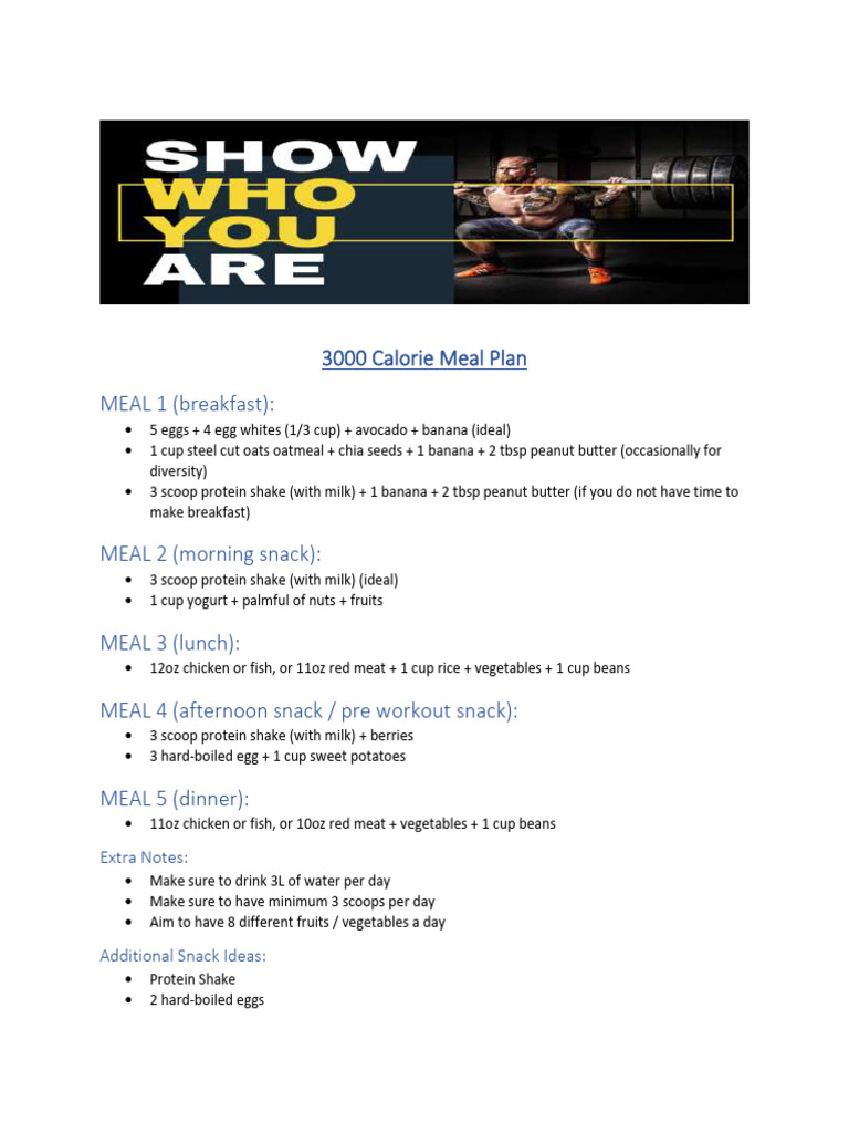 3000 Calorie Meal Plan for Weight Gain | PDF