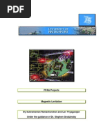 Download Magnetic Levitation by Cofetaria Fraguta SN79261463 doc pdf