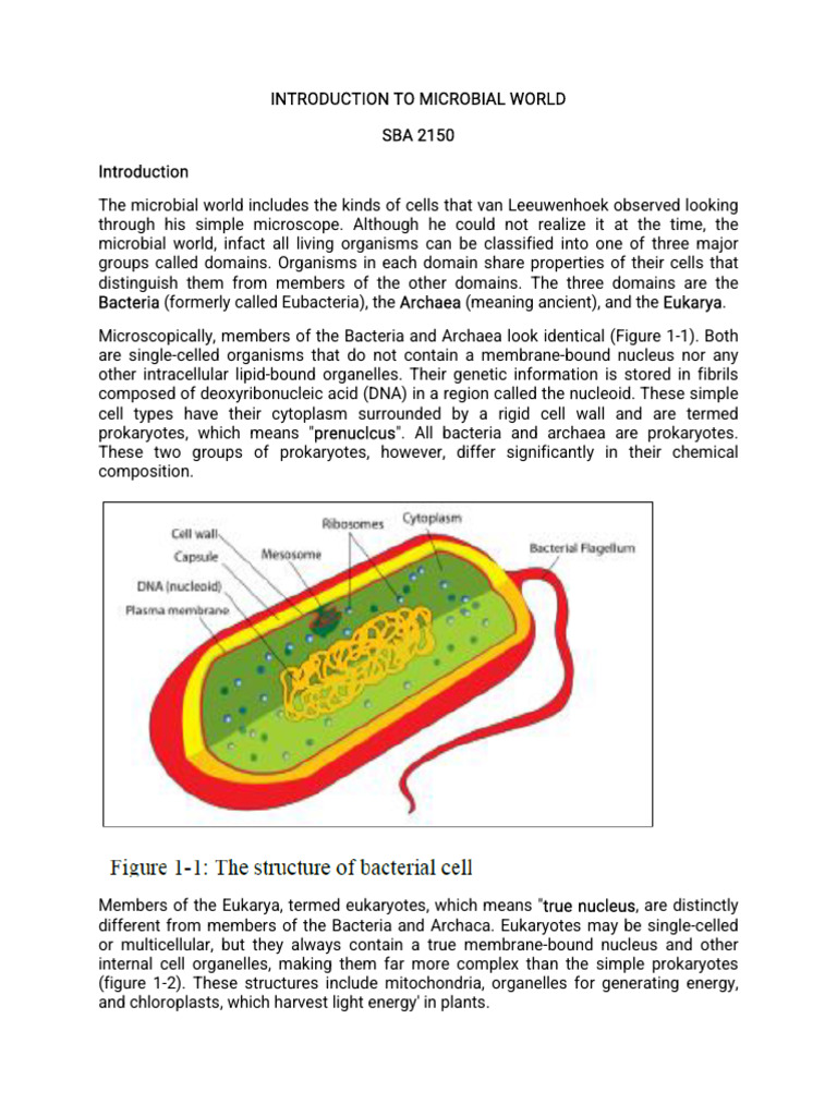 Introduction To Microbial World | PDF | Foreign Language Studies ...