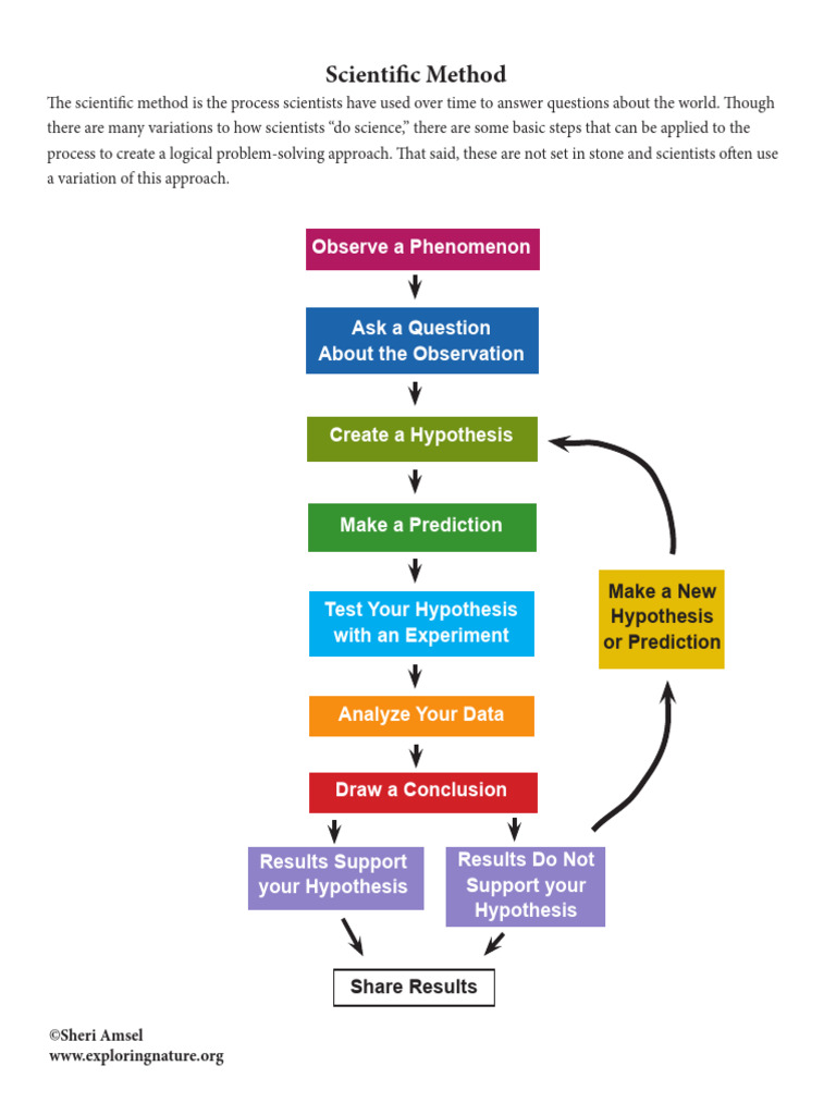 Understanding the Scientific Method | PDF | Hypothesis | Scientific Method