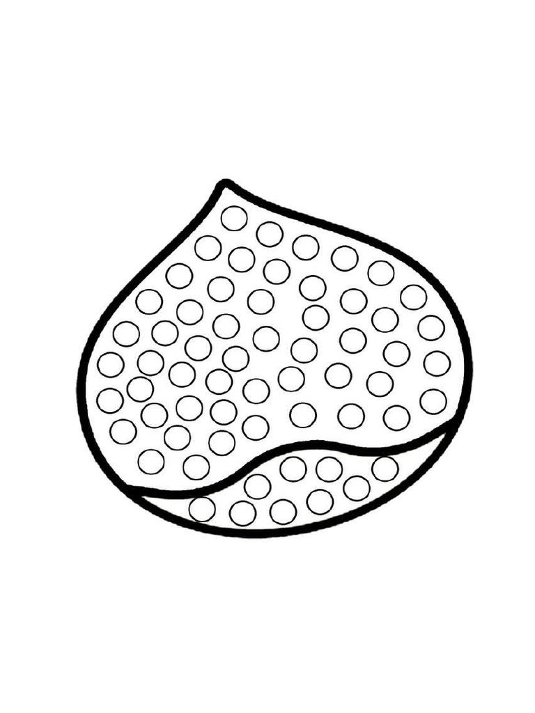 Castanha para Colorir | PDF