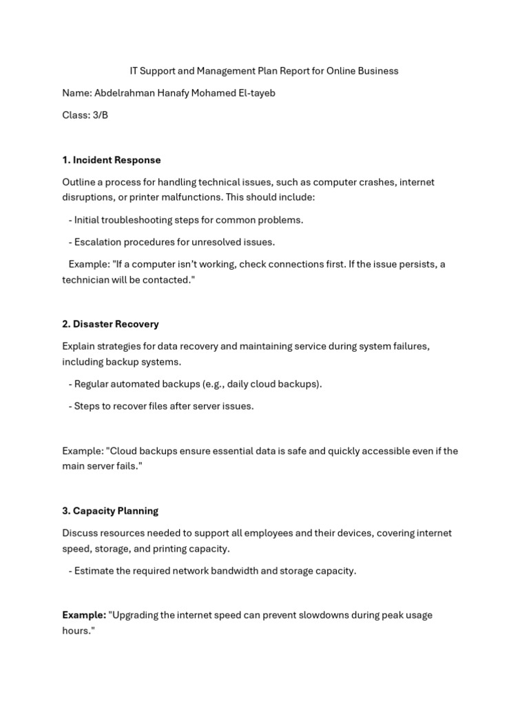 IT Support Plan for Persistent Issues | PDF | Computer Network | Security