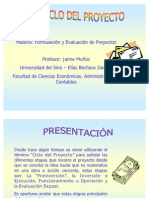 Ciclo Del Proyecto