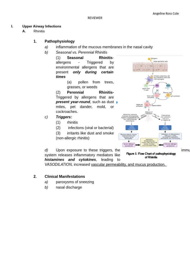 RESPIRATORY SYSTEM | PDF | Clinical Medicine | Diseases And Disorders