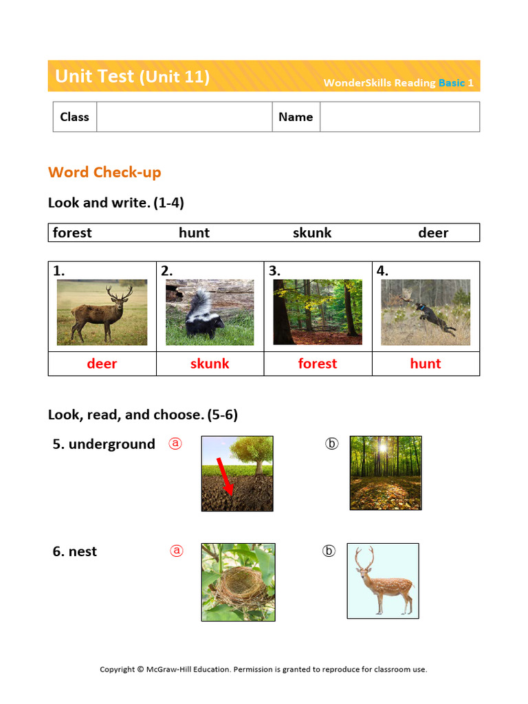 Classroom Reproducible: Word Check-up | PDF
