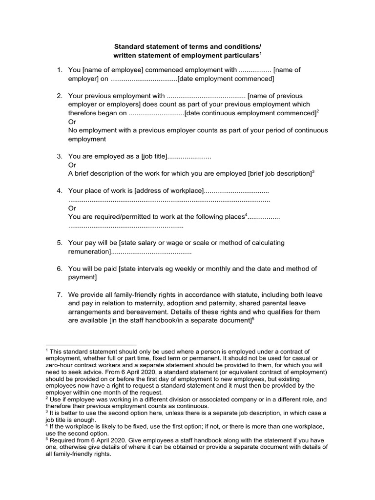 Employees Standard Statement Terms Conditions 0623 | PDF | Employment ...