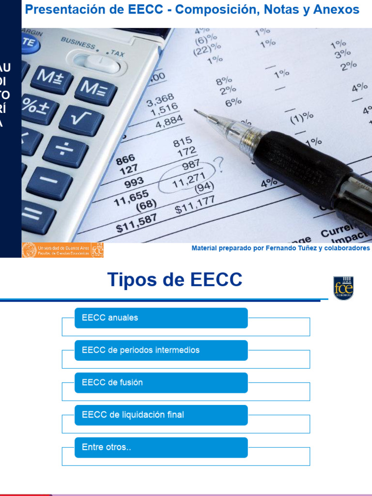 Guía Completa sobre EECC y su Estructura | PDF | Gobierno
