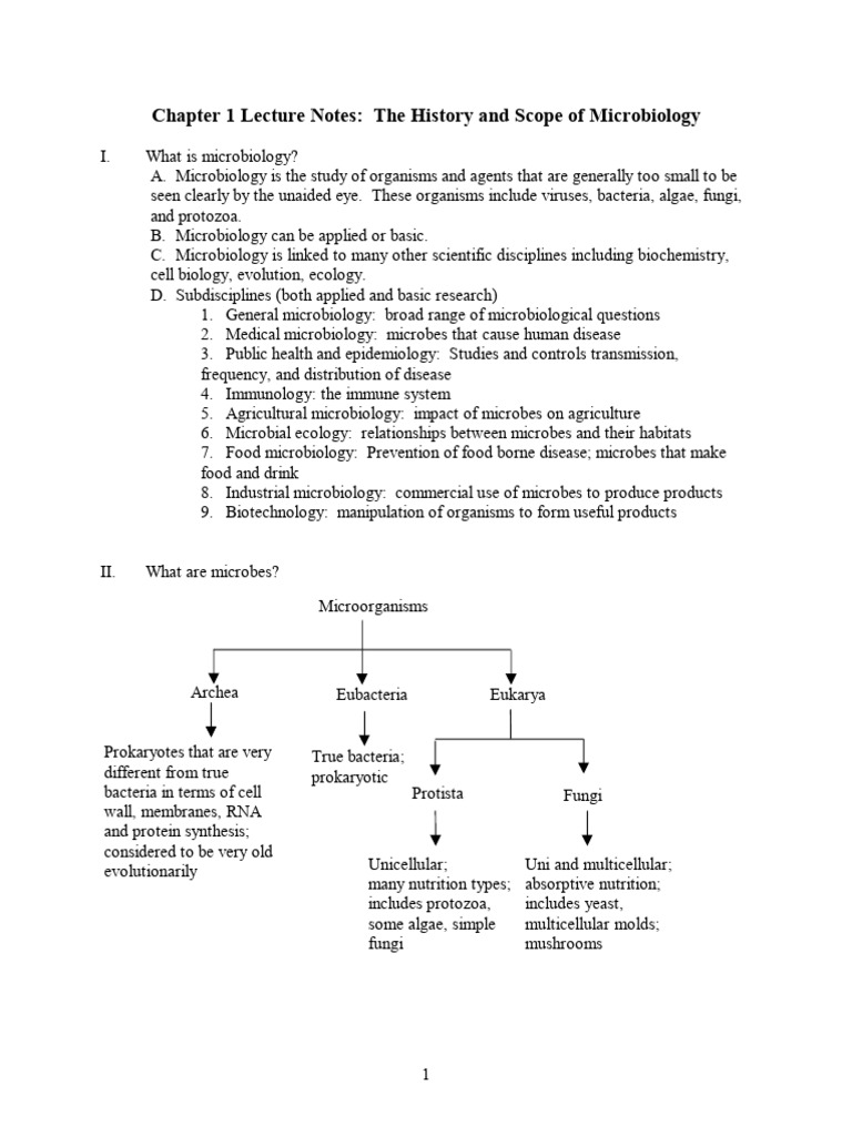 Microorganisms' Impact on Health and Industry | PDF | Microorganism ...