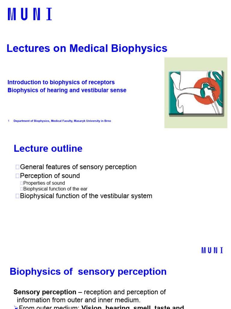 Biophysics of Sensory Perception and Hearing | PDF | Sound | Auditory ...