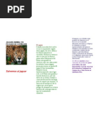 Flora y Fauna de Oaxaca | PDF