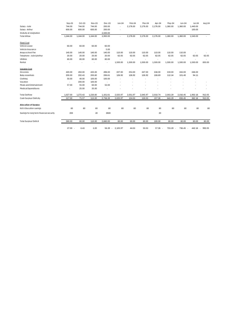 Monthly Salary and Expense Overview | PDF | Government Budget Balance ...