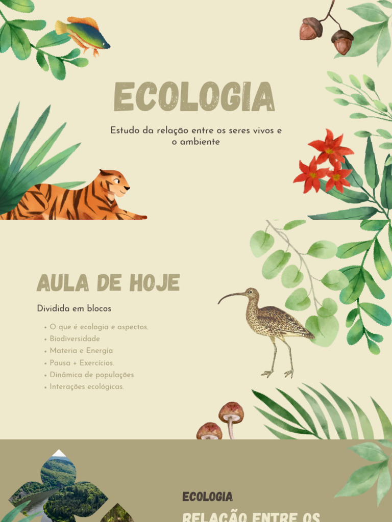 Relação entre Seres Vivos e Ambiente | PDF | Habitat | Ecologia