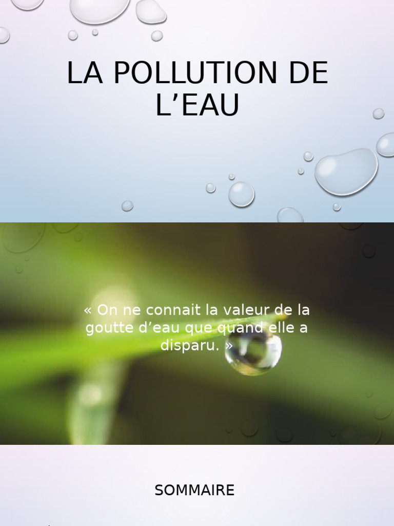 Expose SVT 24 | PDF | la pollution | Eau