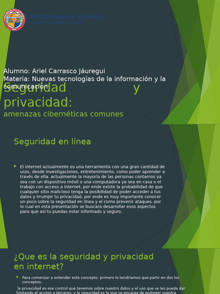 Seguridad y privacidad en internet | PDF | Privacidad en internet ...