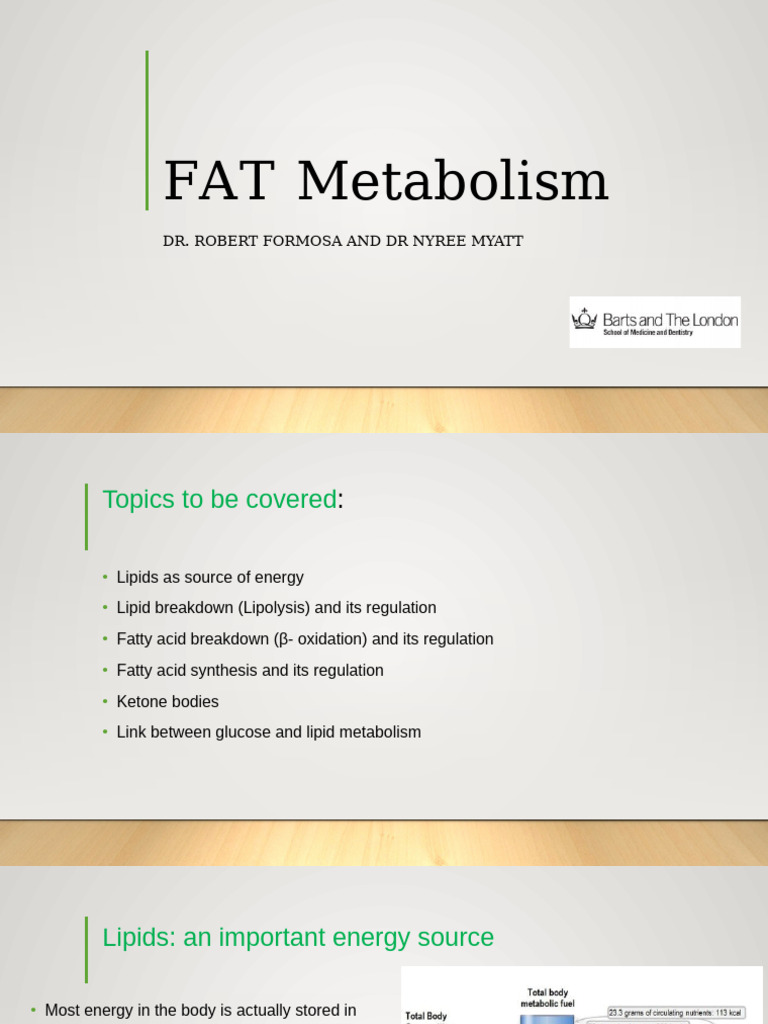 FAT Metabolism - QMPlus No Notes or Narration | PDF | Citric Acid Cycle ...