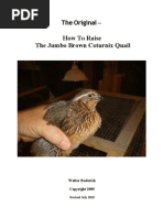 Download How to Raise Coturnix Quail by Wally Roderick SN79284629 doc pdf