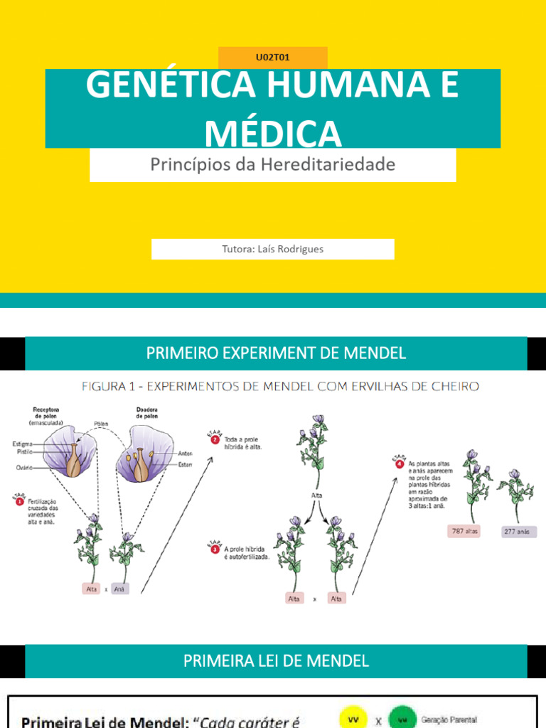 Genética Humana e Médica - Aula 4 | PDF