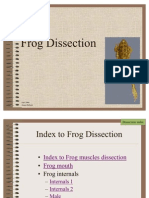 Frog Diss