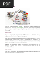 Java T Point (1-6) | PDF | Java (Programming Language) | C++