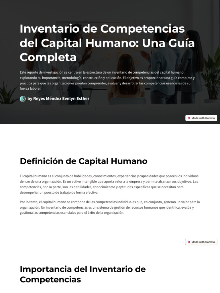 Inventario de Competencias Del Capital Humano Una Guia Completa | PDF