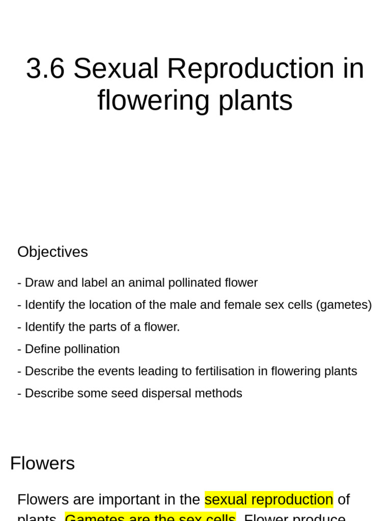 Sexual Reproduction in Flowering Plants | PDF | Flowers | Pollination