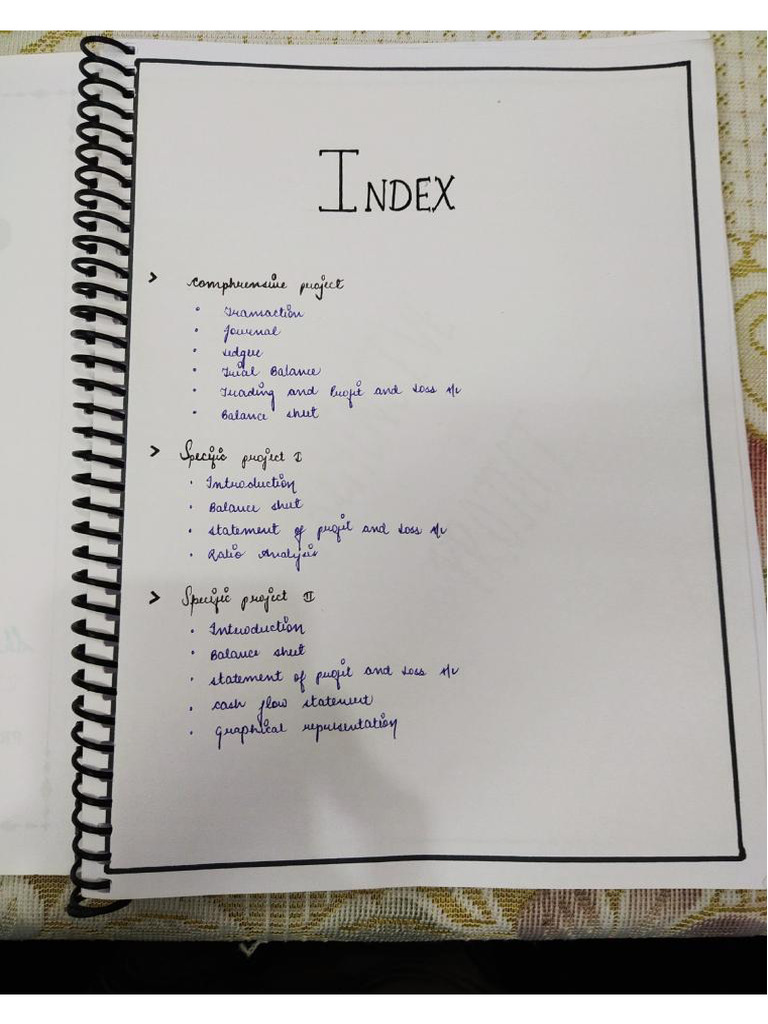 Accountancy Project | PDF