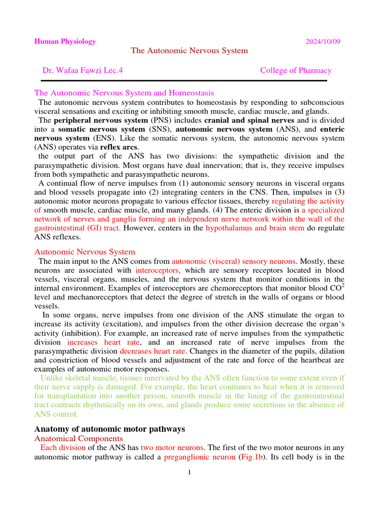 Lec - Autonomic Nervous System2024 | PDF | Autonomic Nervous System ...