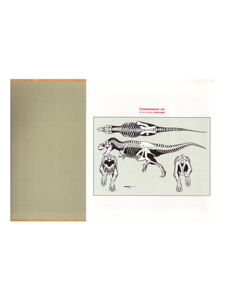The complete ilustrated guide to Dinosaur skeletons_Parte 5 | PDF