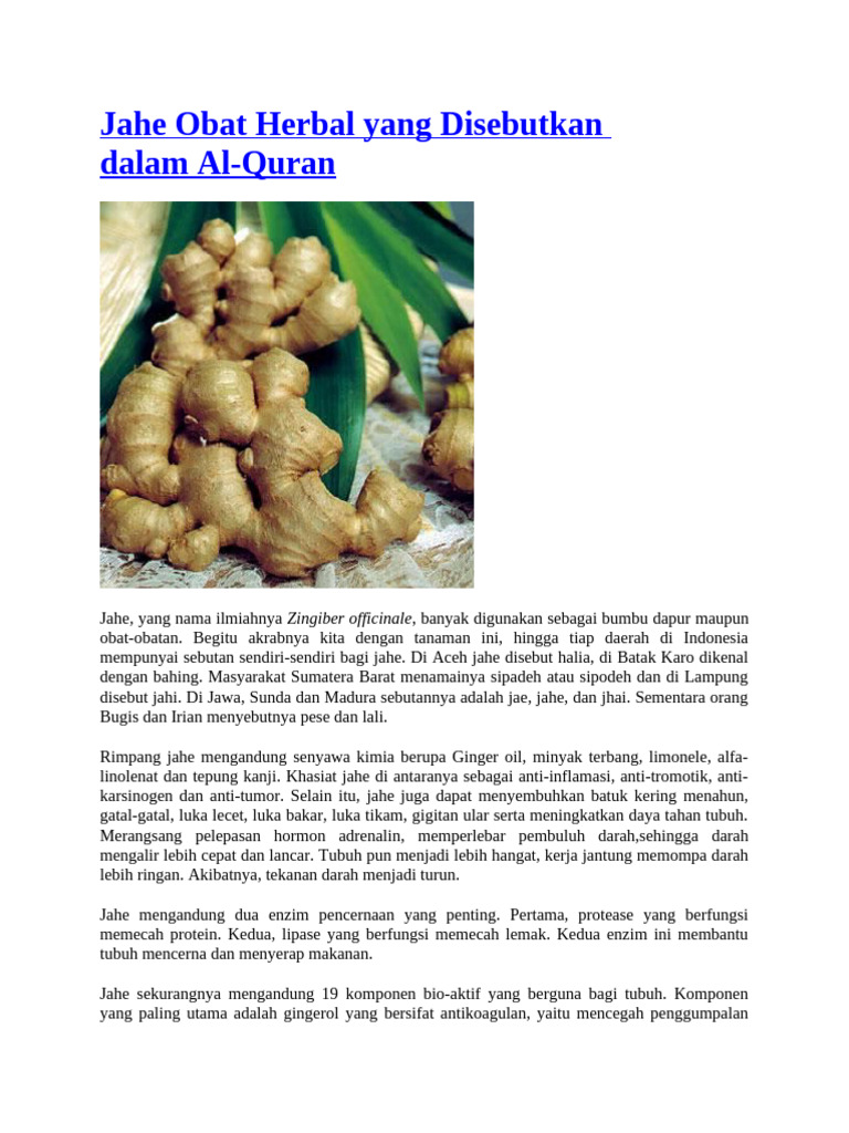 Khasiat Jahe dalam Al-Quran dan Kesehatan | PDF | Agama & Spiritualitas