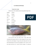 Download Bab 2 Tinpus by ficka_setan SN79293764 doc pdf