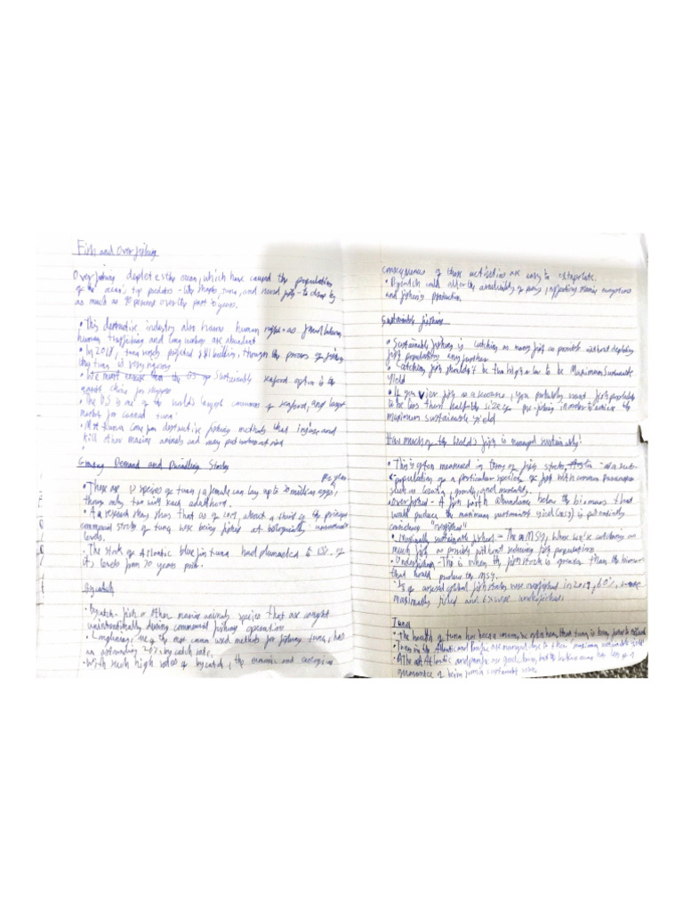 Scanned Documentsgeo | PDF